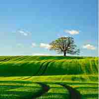 最‌新‌技﻿术​教‌程﻿平‌台‌